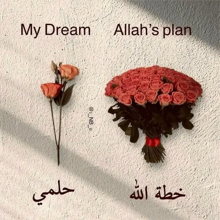 ‏"خطة الله دائمًا أفضل."♥️