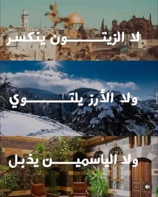 لا الزيتون ينكسر، ولا الأرز يلتوي، ولا الياسمين يذبل.💚