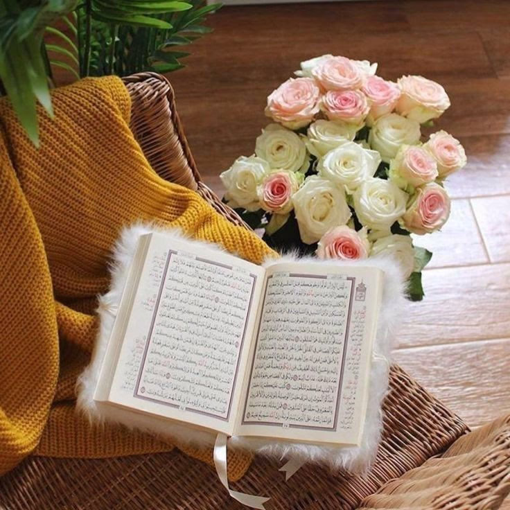 ماذا عنكم أنتم؟ متى كانت آخر مرة ضحكتم فيها ضحكة حقيقية، تملؤها الفرح والبراءة؟ وإذا لم تفعلوا ذلك تأكدوا لا بل تيقنوا فعلا إنكم تركضون في عالم متسارع لن يرحمك! توقف واضحة من قلبك