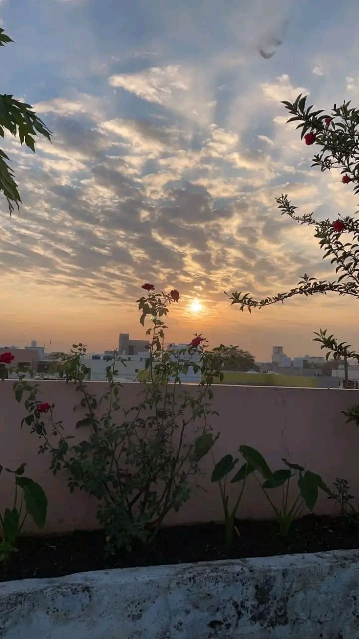 "اللَّهُمَّ إِنِّي أَسْتَعِينُ بِكَ يَا رَجَاءَ التَّائِهِينَ هَبْ لِي مِنْ لَدُنْكَ رَشَادًا، وَثَبَاتًا، وَيَقِينًا."🤍