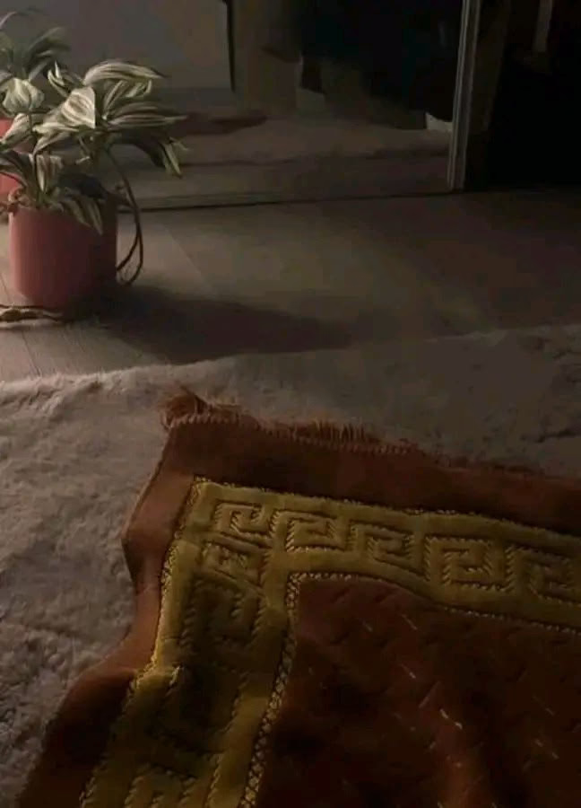 ‏
في ليلة الجمعة .. اللَّهُم أرزقنا فرحةً لا تَسَعُها الدنيا ومَن عليها
وعوِّضنا بما هو خيرٌ لنا .♥️