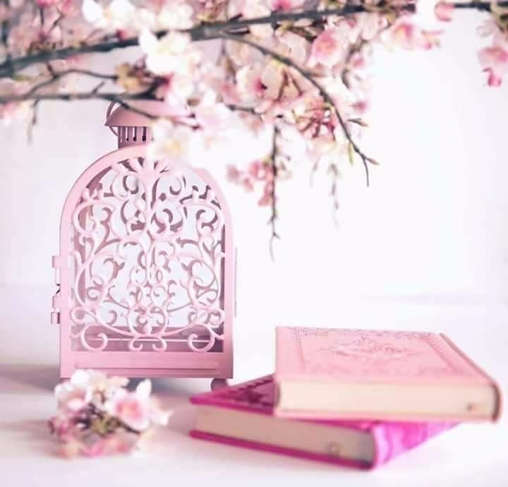 يا ربّ اجبرنا
وقرّ أعيننا
وارزقنا النصيب
الجميل من
كل شيء 🩷.