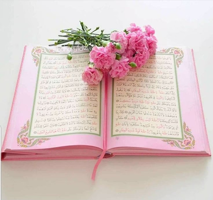 🍃سُبحانك ما منعت عني خيرًا إلا لترزقني ما هو خير منه، فاللهم اغفر لي عجزي عن فهم حكمتك، اللهُمَّ إنّي فوّضت أمري إليكَ ثقةً وإيمانًا بحسنِ تدبيرك، اختر لي ولا تخيّرني، و اكتب ليَ الخير أينما كان ثم ارضني به .🤲🏻♥️