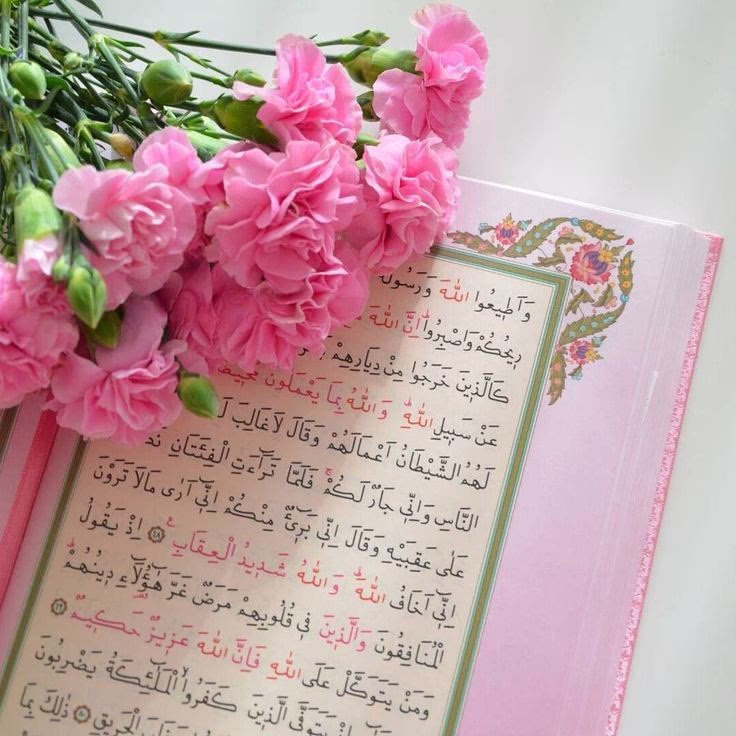 " يأتيكم النَاس بِقلوبهم فَأكرمُوهم ، أن لم تَقبلوها فَردُوها الى أضلاعهم سَالمة آمنة ، لا تَروعوا من ألتفت لكم حُبًا و  لا تُتلفوا دَارًا أنتم أعز اللَابِثِينَ بِها ، ما لا تُريدونه ثَمة مَن هُو مُستعدًا للمُوت من أجلهِ." .... 🤍❤