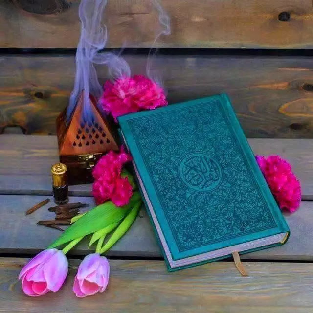 لا تنسوا سورة الكهف ⁩والصَّلاة على النبي ﷺ،
جُمعة مُباركة ..🩵🩷🍃