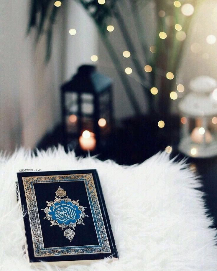 أصبحنا نسألك أن تُآنس خطواتنا بالبركة والخير
والحمدُللهِ الذِي أَذِن لنا بيومٍ جديدٍ لنعبدَه ونشكرَه ونتوبَ إليه🤍✨.