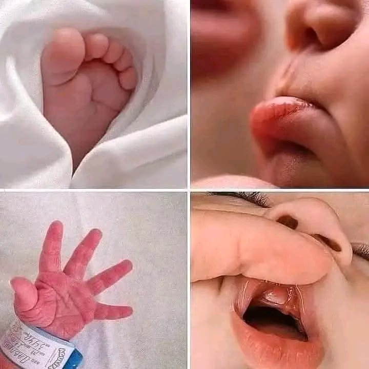 التفَاصيل التي تخطُف قلَبي🌹🌷🩷