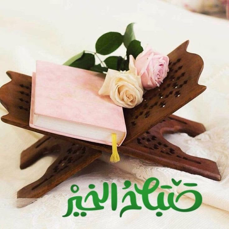 اللهم صلِّ على قرَّة أعيُننا محمَّد، واحشرنا في زمرته، واجعلنا من أهل شفاعته، وأحينا على سُنَّته وتوفَّنا على ملَّته وأوردنا حوضه يا حيّ يا قيّوم إنَّكَ على كلِّ شيءٍ قدير.♥️
