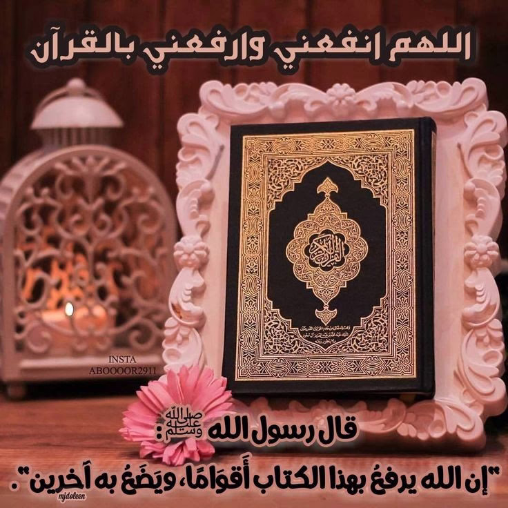 يارب أن نجد فرحة الاستجابة وأن تعيش على ملامحنا كثيرًا 
والاَ تسعنا الأرض من شدة السعادة وأن تضل قلوبنـا ترفرف بها أيامًا طوالاً .