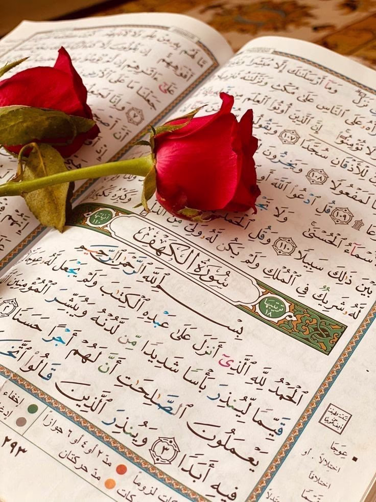 ‏ومَا فَقدَ الماضُون مِثلَ سَيِدِنَا مُحمَّدٍ
ولا مِثله حتّى القيامةِ يُفقد ﷺ