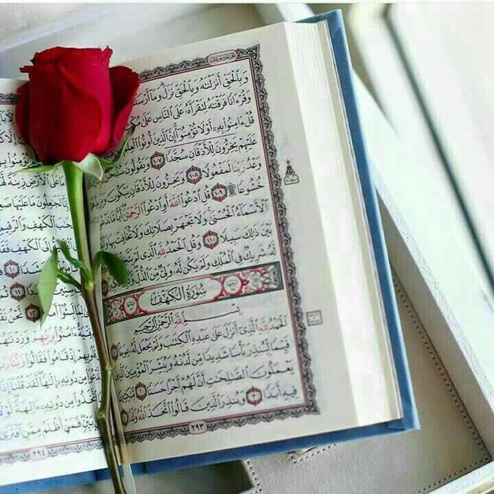 ‏﴿عَسَىٰ رَبُّنَا أَن يُبْدِلَنَا خَيْرًا مِّنْهَا﴾
 
أطفِئْ بهذه الآية نار حسرتكَ على كل فرصةٍ ضاعتْ،
وعلى كل وظيفةٍ خسرتها،
وعلى كل حبيبٍ أفلتَ يدكَ في منتصف الطريق،
وعلى كل صديقٍ حسبتَ أنَّ له وجهاً جميلاً،
فلم يكن هذا إلا قناعاً لذئب جارح!
ما أخذه الله منكَ فلحكمةٍ،
وما تركه لكَ فلرحمةٍ،
فإنْ علمتَ الحكمة، فاشْكُرْ!
وإن جهلتها، فاصْبِر!🤍✨
أقدار اللهِ كلها خير وإن أوجعتكَ!