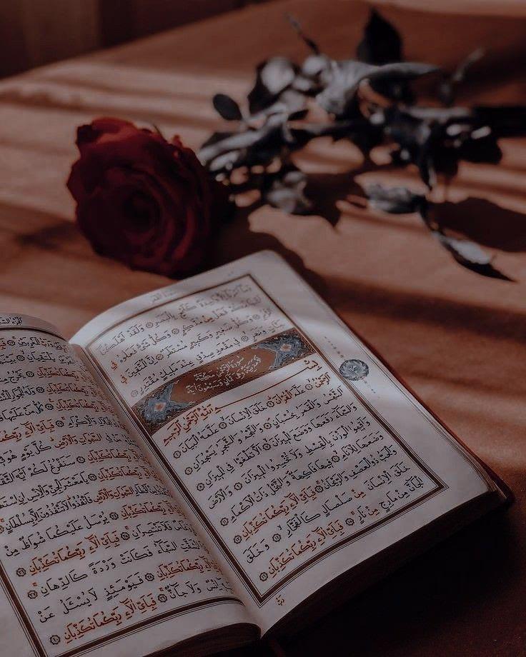 رَضيـتُ بِاللهِ رَبَّـاً وَبِالإسْلامِ ديـناً وَبِمُحَـمَّدٍ صلى الله عليه وسلم نَبِيّـاً.
