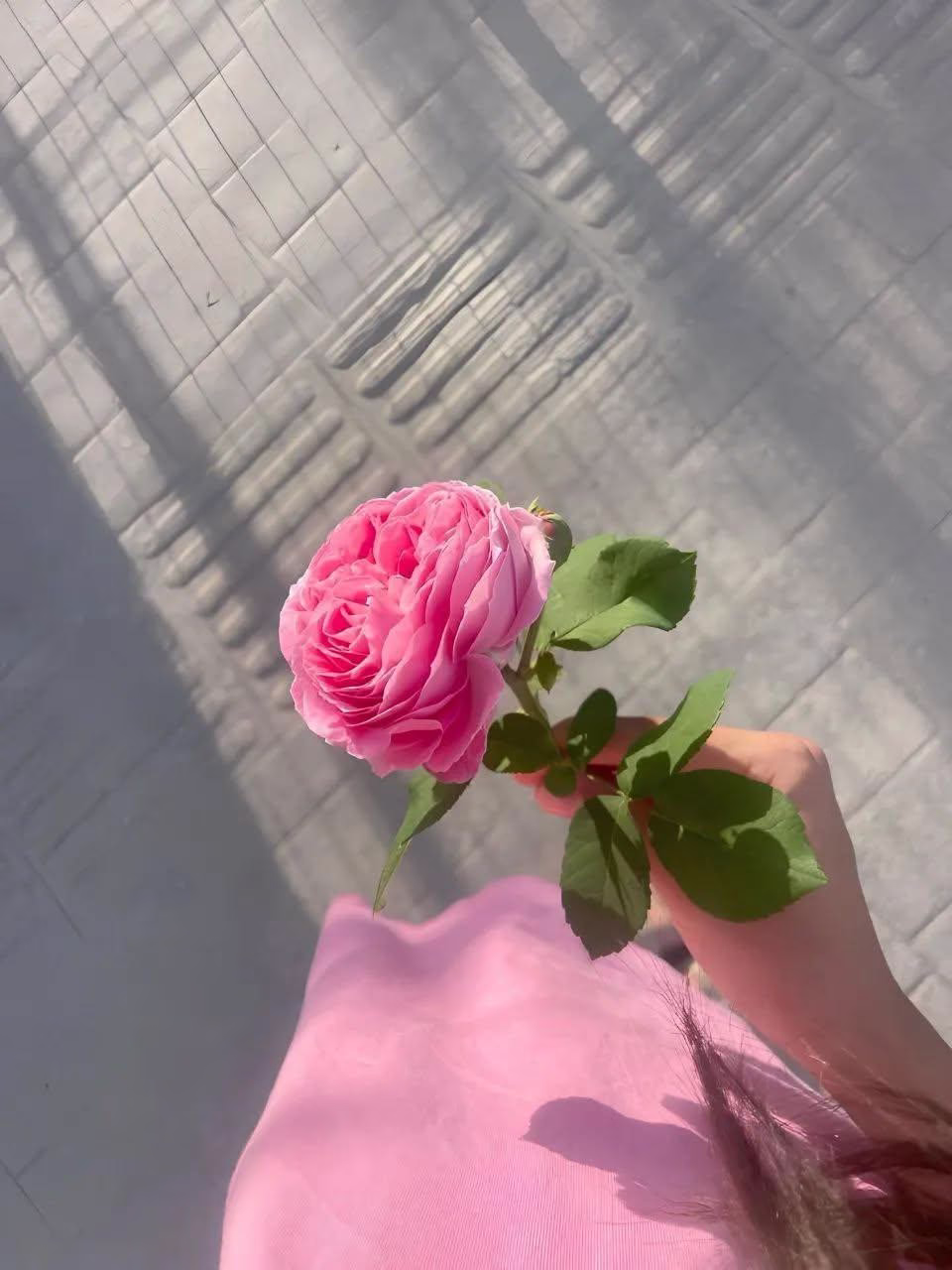 "صباح التوفيق لكل من استودع الرحمن يومه وسعيه، صباح الأمل حينما ندرك أن كل شيء بيد الله، صباح الرضا بما هو مكتوب لنا ."