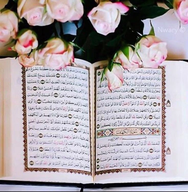 ياليت ألقدر كما يحكم علينا بألأبتعاد يحكم علينا أيضاً بنسيان ألذكريات. 🖇️🖤