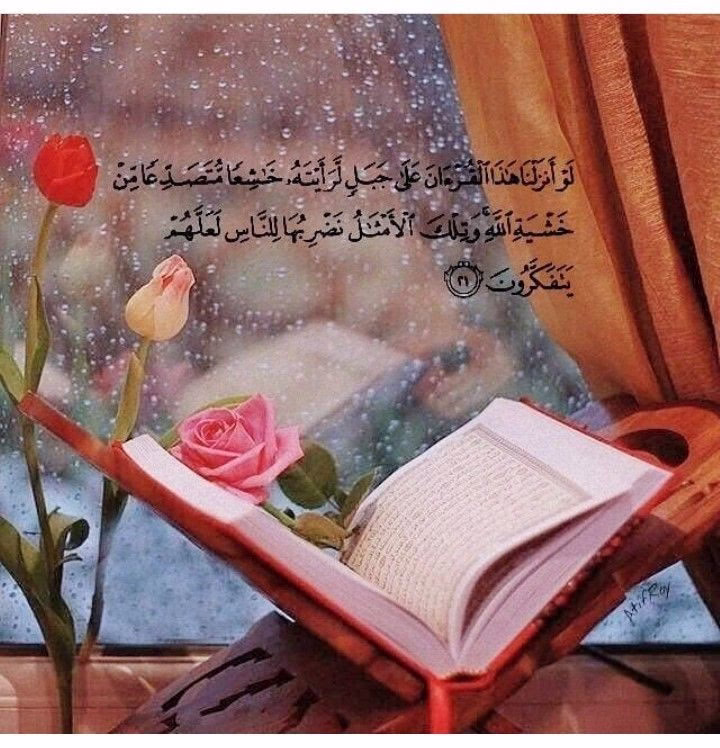 الحياة بحدّ ذاتها مؤقتة، فبأي حق نبحث عن أبدية الأشياء ؟