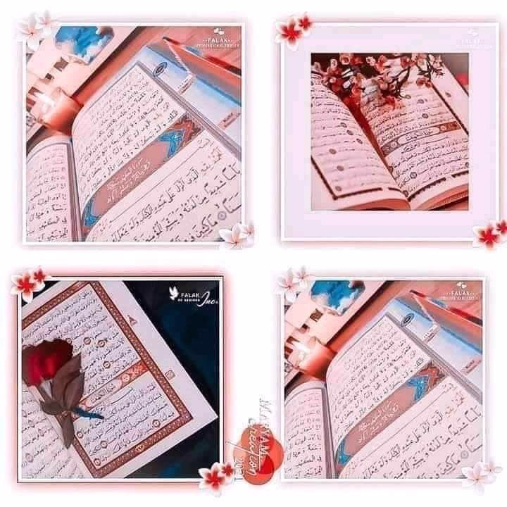 القادم افضل، فقط كن صبورا ، لا ندم في الحياه هي دروس مستفادة 💚💚
