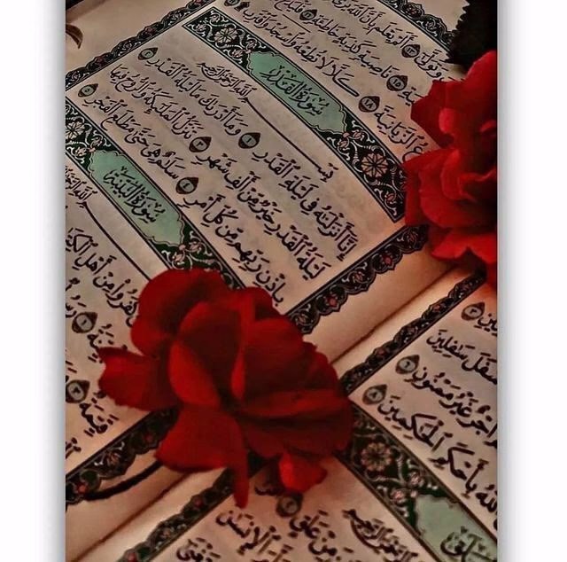 لعل الذي  تمر بهِ الآن ! 

هو مرحلة ما قبل المعجزه والجبر العظيم ..

وقلب موازين الكون لأجلك لأجلك ولأجل دعواتك ،

 اطمئن ربك يدبر امرك وسوف يفاجئك بتحقيق تلك الدعوة التي  ببالك الآن بإذن الله قريباً ..

ابشر بفرجٍ يقترب فإنها أيام الغيث 🌧️