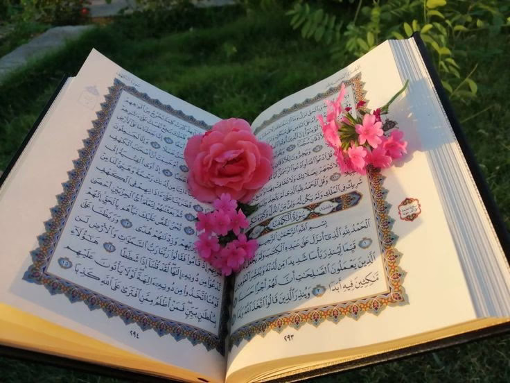 قاعده اقرا كتاب (الم نشرح لك صدرك) كتاب خفيف جميل يحمل فيه قيم وقصص وتعاليم اسلاميه جميله جدا وبينما كنت اقراء اليوم شدتني صفحات عنوان "مبدأ جدد حياتك "

في القران الكريم آيتان تتحدث عن مبدأ تجديد الحياة،: