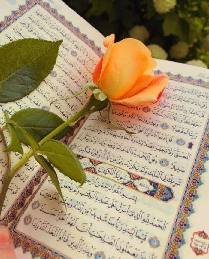 نحن لا نبني علاقات 
لأجل غايات بل نحن أصحاب مواقف ووفاء حتى النهاية شرط ألا يخدش خاطرنا وكرامتنا أحد .