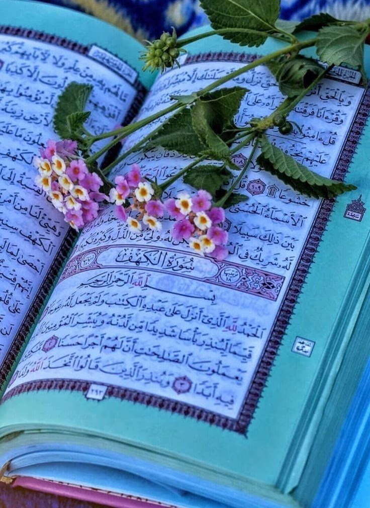 "للإنسان نقاط عودة وأماكن قديمة مقدسة في ذاكرته وواقعه.. كلما ضاقت عليه الأرض كانت أول مقاصده." 🤍♡.