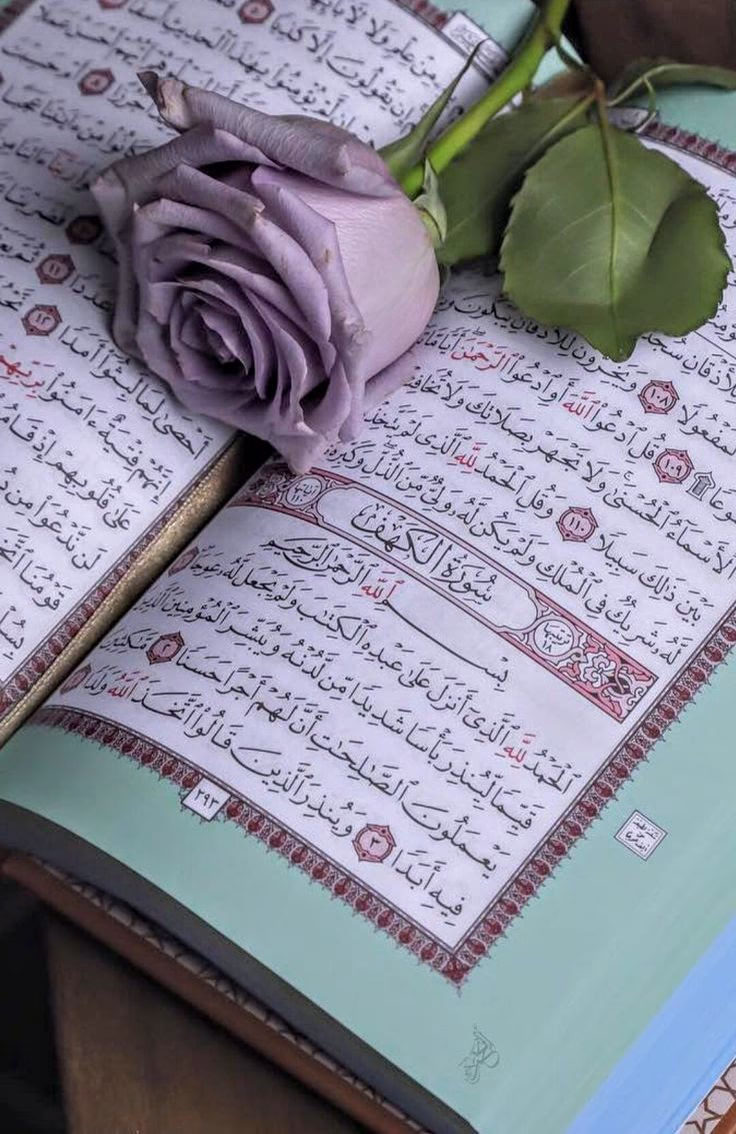 "اجعَل بينَك وبينَ الله مشاريعًا خفيَّةً! 

لا تراها الأعيُن، أو تتحدَّث بها الألسُن، ولا تُخافِت بها صدِيقًا، أو تُحدِّث بها قريبًا".🤍🤍🦋