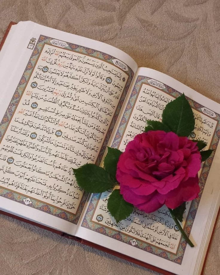 عامٌ سيمضي، وآخر سيأتي.. أتمنى من الله في العام القادم وفي العمر كله أن يديم الله علينا ستره ولطفه، وأن يرزقنا راحة البال التي لا تنتهي أبدًا.. أن يرضى عنا ويرضينا ويرضي قلوبنا ويقربنا ممن يحبنا ويحب الخير لنا، وأن يبعدنا عن أصحاب النيات السيئة، وأن يرزقنا الأمان والطمأنينة مع من نحب، مع من يهتموا بنا ويحترموا وجودنا كغيابنا.. أتمنى أن نهدأ ونطمئن للدرجة التي تنسينا كل موقف صعب واجهناه، وأن يبدلنا الله خيرًا مما ضاع منا ♥️