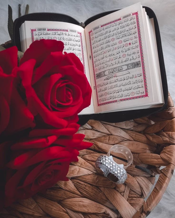 ﴿لِّيَطْمَئِنَّ قَلْبِي﴾.
في كلّ أموري وَأيامي وَأحوالي يا رَبّ .❤️‍🩹✨