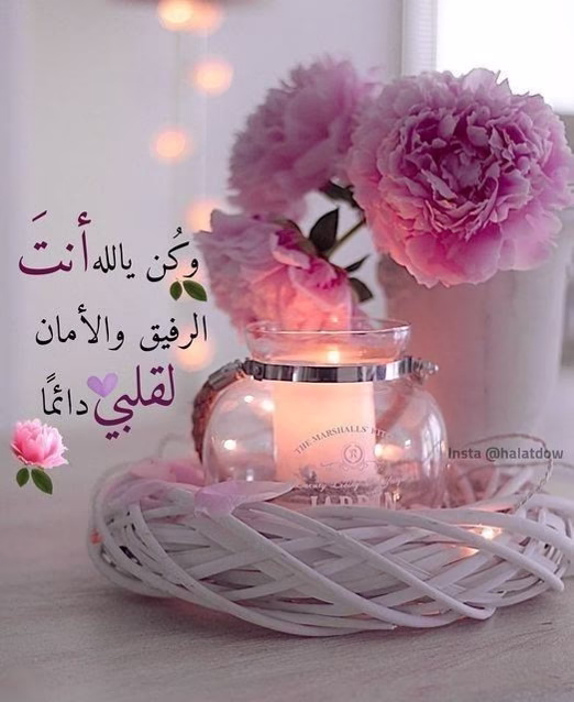 إن الله الذي يسمع زقزقه العصفور الصغير في عشه فيرسل إليه الحبه التي تشبعه .. سيسمع دعائك وسينصرك وسيرد لهفتك❤️