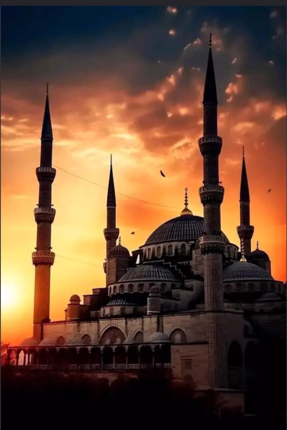 هيكــرمنی🤎
هیفـــرحنی🤎
هيرزقـــنی🤎
هیعــوضنی🤎
هیراضـــینی🤎
هیســعد قلبــی🤎
هیجــبر خـاطـری🤎
هیریــح بالــی🤎
لانه الله💚🌿