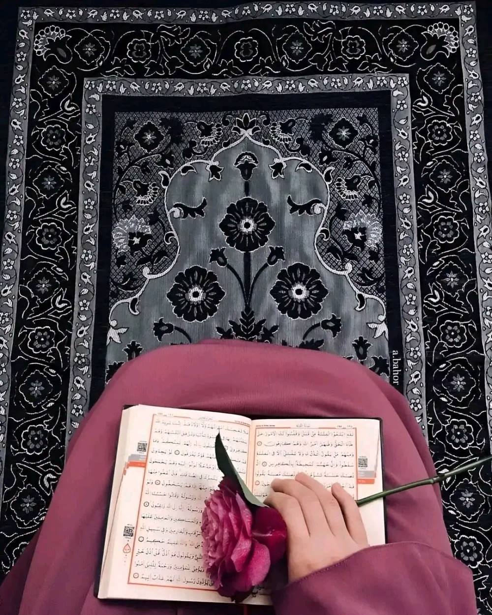 ﴿قَالَ لَا تَخَافَا إِنَّنِي مَعَكُمَا أَسْمَعُ وَأَرَىٰ.﴾
"اللَّهُمَّ شُعُورَ الرِّضَىٰ، بِكُلِّ شَيْءٍ تَعْلَمُهُ وَنَحْنُ لَا نَعْلَمُ خَيْرَهُ لَنَا." 🌷🤍
يارا