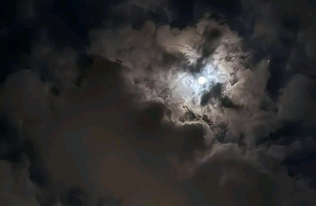 نور القمر مهما السحايب تغطيه
واضح مثل وجهٍ عن البال ماغاب