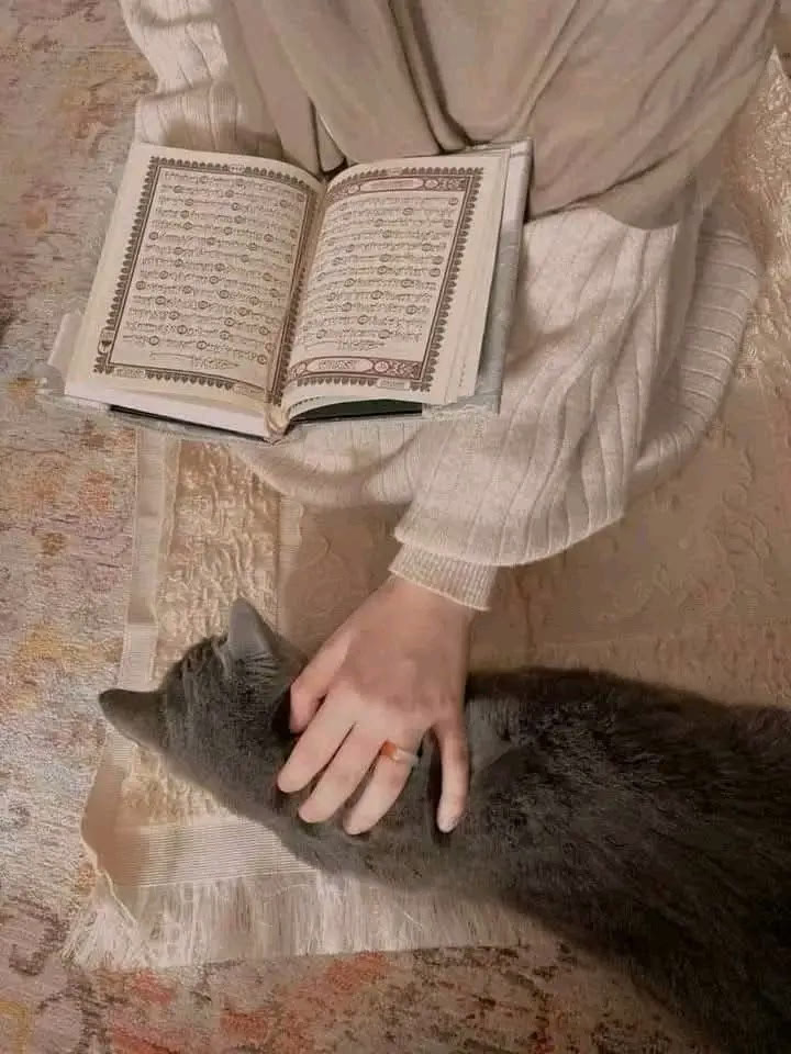 "حَدِّثُونِي عَنِ القُرْآن وَلَوْ بِآيَة.. 📖