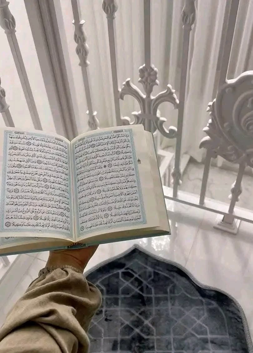 ربـي أنها #ليـلة_الجمعة فأكتب لنا فيها ما تتمناه قلوبنـا🥹🤎🤎🤎🦋