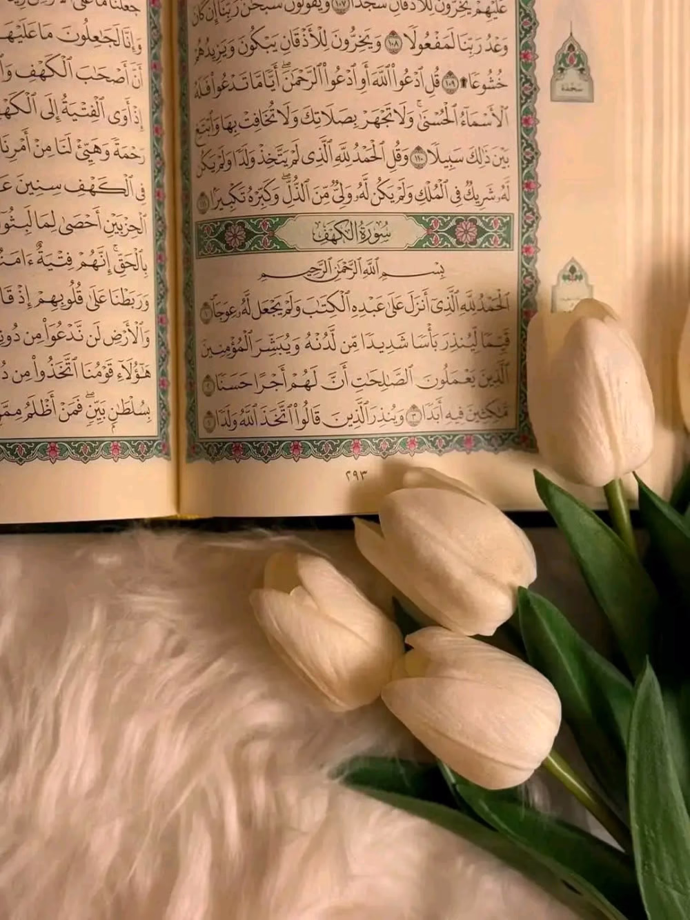 قال رسول الله (ﷺ) 
‏أكثروا من الصلاة عليّ ليلة الجمعة ويوم الجمعة فإن صلاتكم معروضة عليّ 
‏اللهم صلِ وسلم عَلىَ نَبِيْنَامُحَمد ﷺ ..🤍🍃