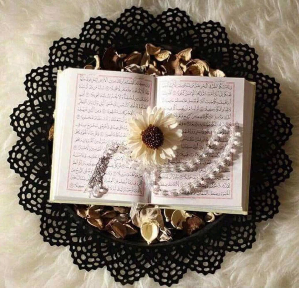 ﴿ إِنَّا كُلَّ شَيْءٍ خَلَقْنَاهُ بِقَدَرٍ ﴾❤

منهج حياتك كله مرسوم بدقة، وكل أقدارك مكتوبه لك من قبل أن تولد، فأعلم أن كل متاعبك وأحزانك كلها بقدر وحكمة حتى لو لم تفهم ذلك الآن فاملأ قلبك باليقين وامض مطمئن فأقدار الله خير حتىوإن أوجعتك❤