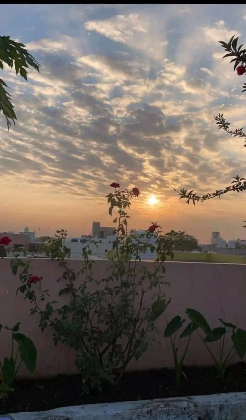 الحمدلله الذي إذا شئتُ وضعت عنده سرّي بغير شفيعٍ، فيقضي لي حاجتي ربِّي عزَّ وجل،والحمدلله الذي أدعوه فيجيبني؛ وإن كنت بطيئًا حين يدعوني🤎🥥