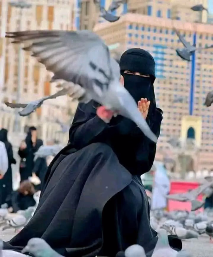 وداعًا لِأحـلامِنـا، ومـرحـبًا بِـ أقـدار اللـه 🤎🤎🤎🤎🤎.