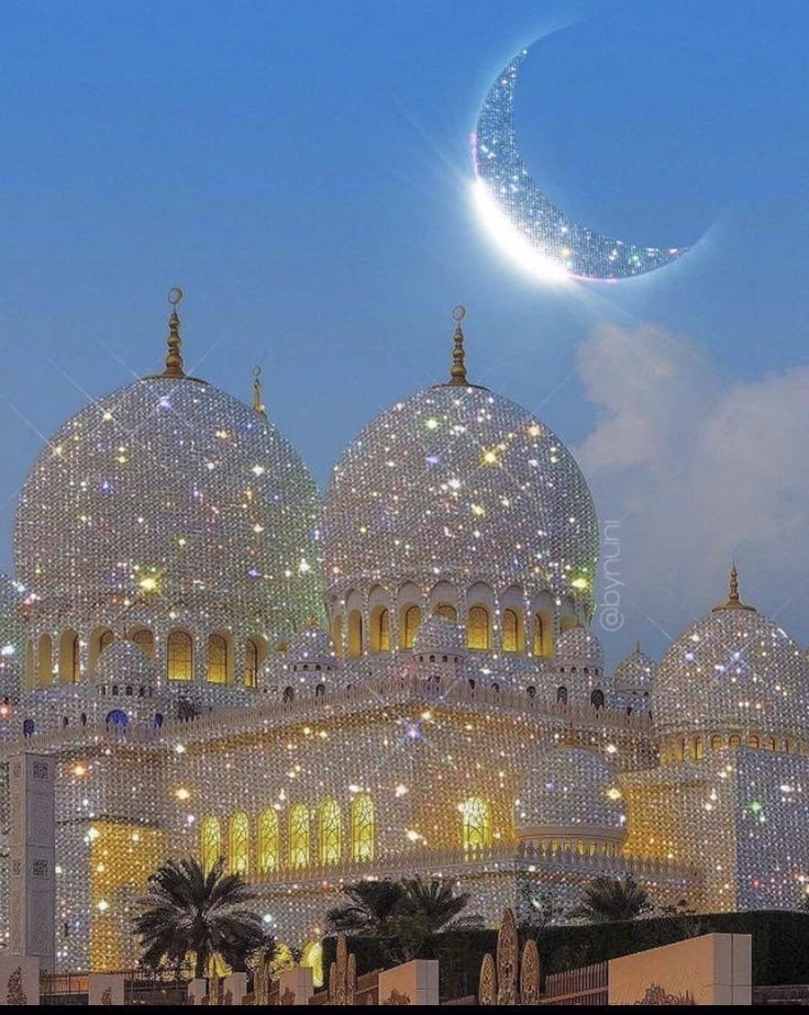 عام الفقدان والدروس التي لا تُنسى
عام بألف خبرة ودرس وصدمة .. وعوضَّ الله قريب🖤