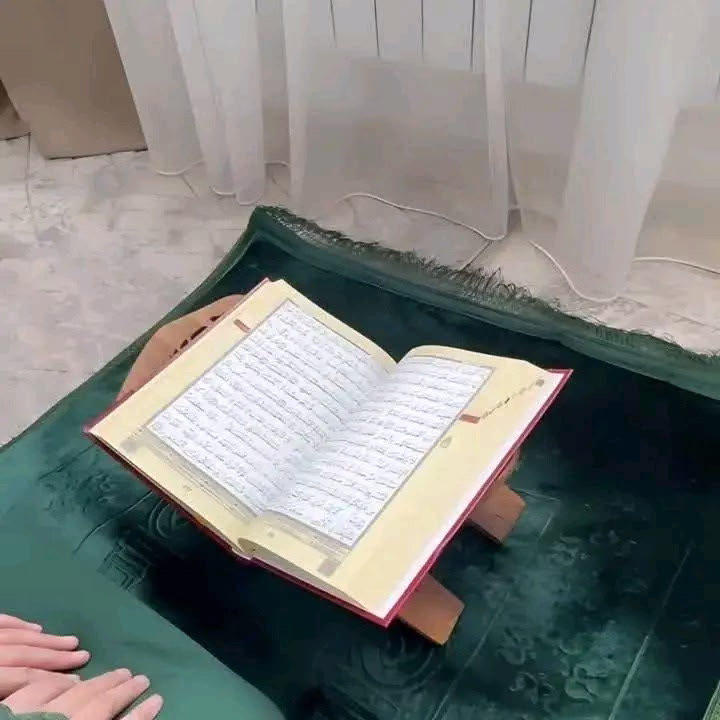 "من الأسباب لاستقامة القلب و سلامته، كثرة تلاوة القرآن." 🤍🍁اللهُم دبر لنا من العَوض ما يُنسينا ويُرضينا 💜