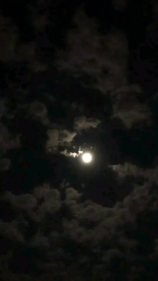 في هدوء الليل:✨اللهُم إنّا نسألُك جبراً للقلوب ، وتيسيراً للأمور ، وبُعداً عن كل خذلان ، وحمايةً مِن كل أذى ، و تدبيراً مِنك لكل أمورنا ♥️.
