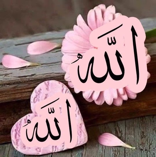 اللهم اجعل صلاة #الفجر نوراً لقلوبنا 
وصلاحاً لنفوسنا وبركةً ليومنا 💚