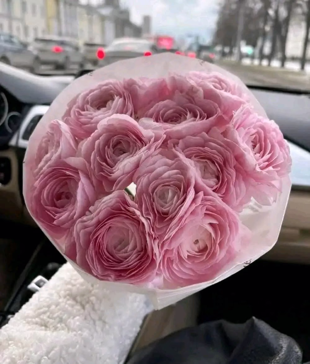 *اللهم إنا نسألك ضياءً في طريقنا، وفرجاً لضيقنا، ونوراً لقلوبنا، وتيسيراً لأمورنا..🌸