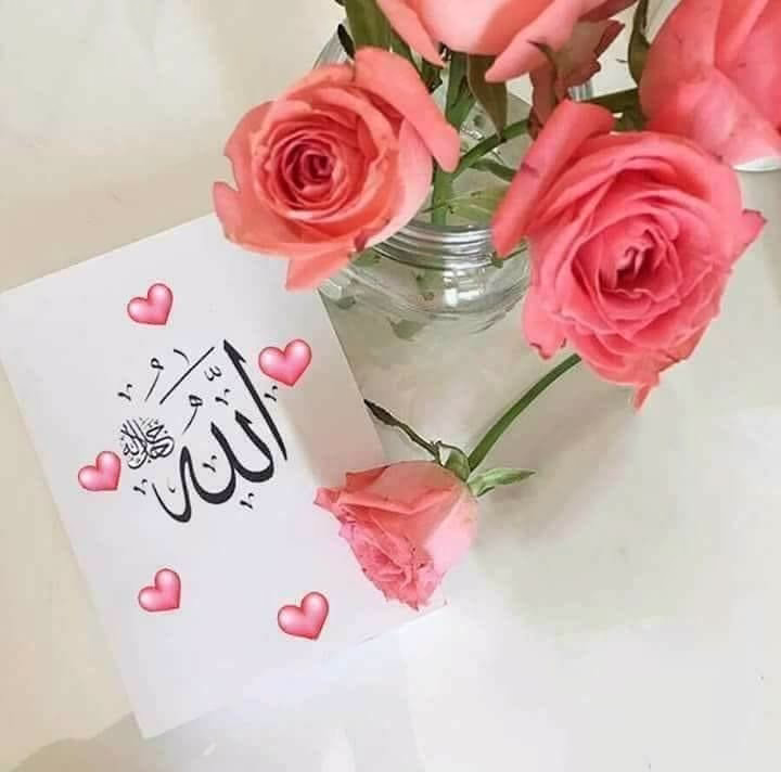 2025
سنـة النهوض بإذن الله 
اللهّـم أجعلها سنة الأمان والعوض عن كل مامر بينا ♥️♥️
