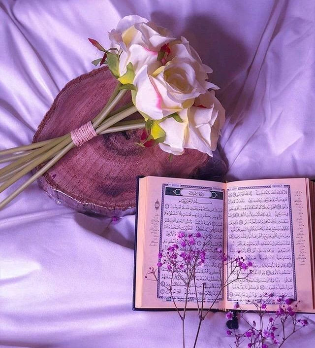 - ‏﴿ فَبَشَّرْنَاهُ ﴾ ، ﴿ وَبَشَّرْنَاهُ ﴾ ، ﴿ فَبَشَّرْنَاهَا ﴾ ، ‏﴿ لَهُمُ الْبُشْرَىٰ ﴾ ، ﴿ وَجَاءَتْهُ الْبُشْرَىٰ ﴾

يارب يا سامع الدعاء بشرنا بالخير و بشرنا بكل شي نتمنوه .. يارب انت حسبنا و انت وكيلنا ♥️