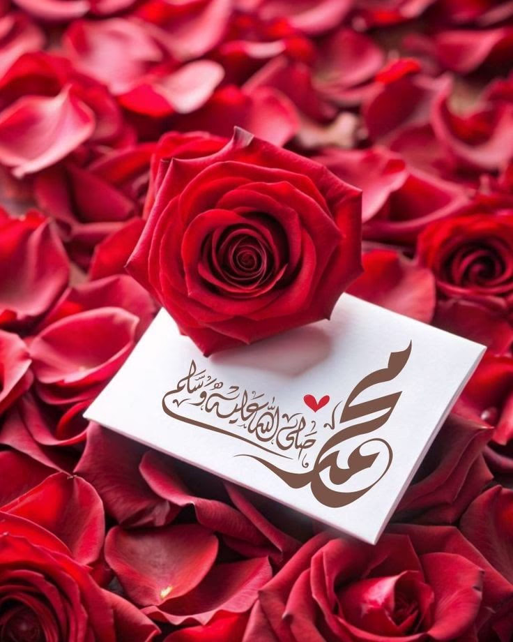 "أما بعد ..فالله جميلٌ جدًا
‏في تعويضاته، وترتيباته.♥️"