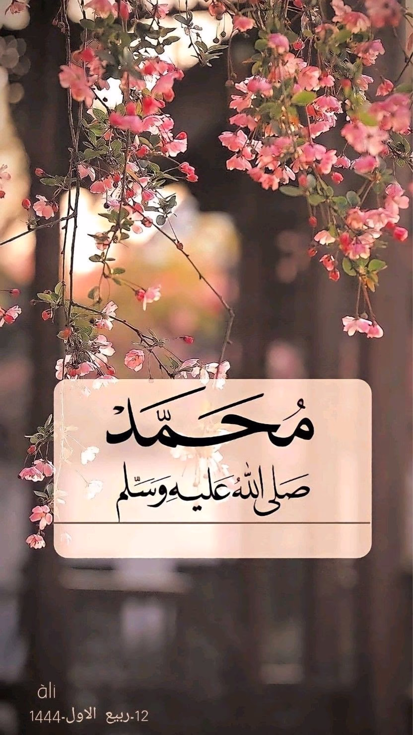 يارب إنك جميلٌ تحب الجمال 
اللهم فـ جمّل أيامنا و جمّل حظوظنا 
و جمّل أقوالنا وجمّلنا بأحسن الأخلاق .