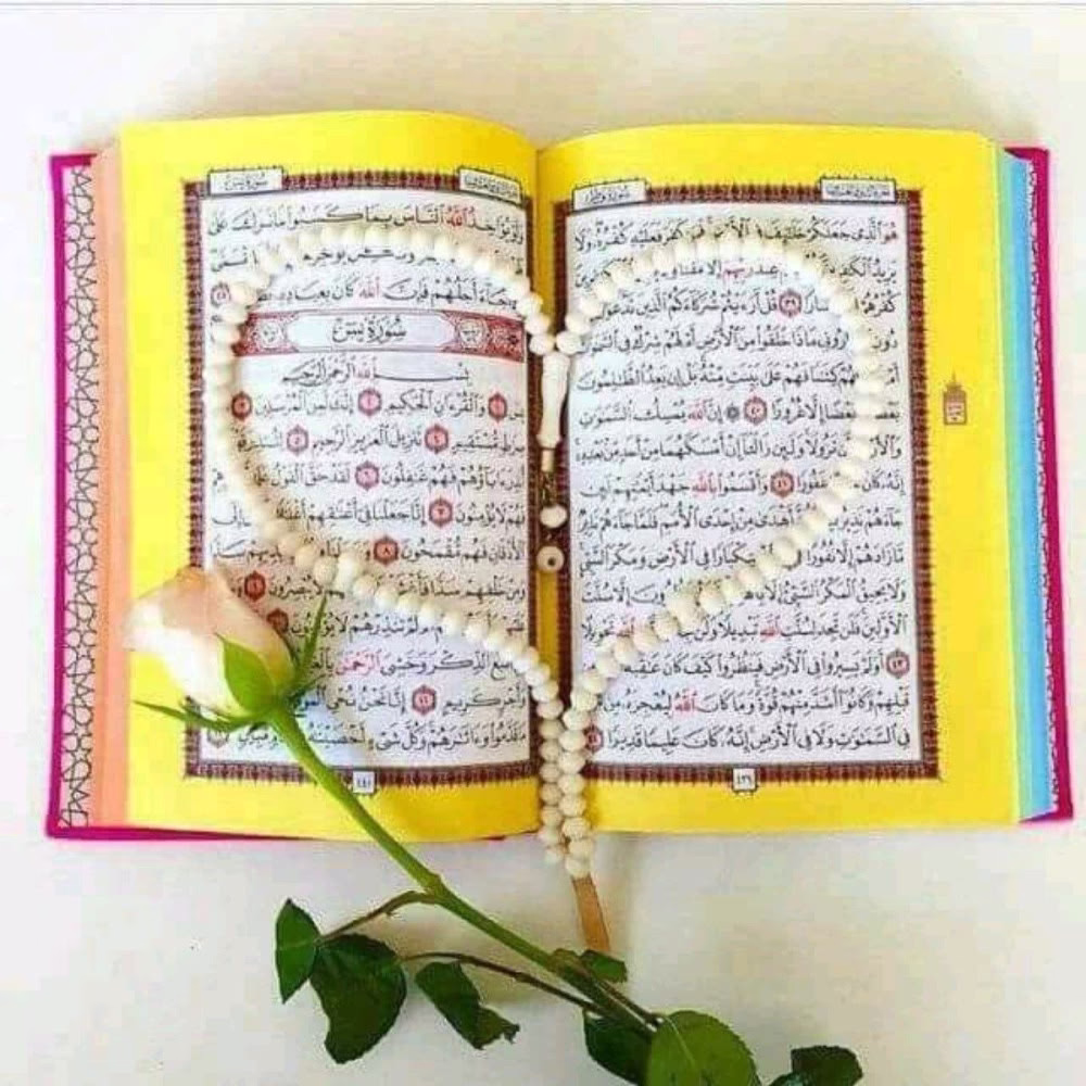 وَأَلْقَيْتُ عَلَيْكَ مَحَبَّةً مِّنِّي ❤️