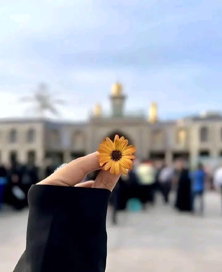 ﴿إِذْ قَالُوا لَيُوسُفُ وَأَخُوهُ أَحَبُّ إِلَىٰ أَبِينَا مِنَّا} 
"لَمْ يَحْسُدُوهُ عَلَى المَالِ ‏بَلْ حَسَدُوهُ عَلَى المَحَبَّةِ؛ ‏عَطَايَا القَلْبِ أَغْلَى وَأَثْمَنَ مِنْ عَطَايَا اليَدِ."💛