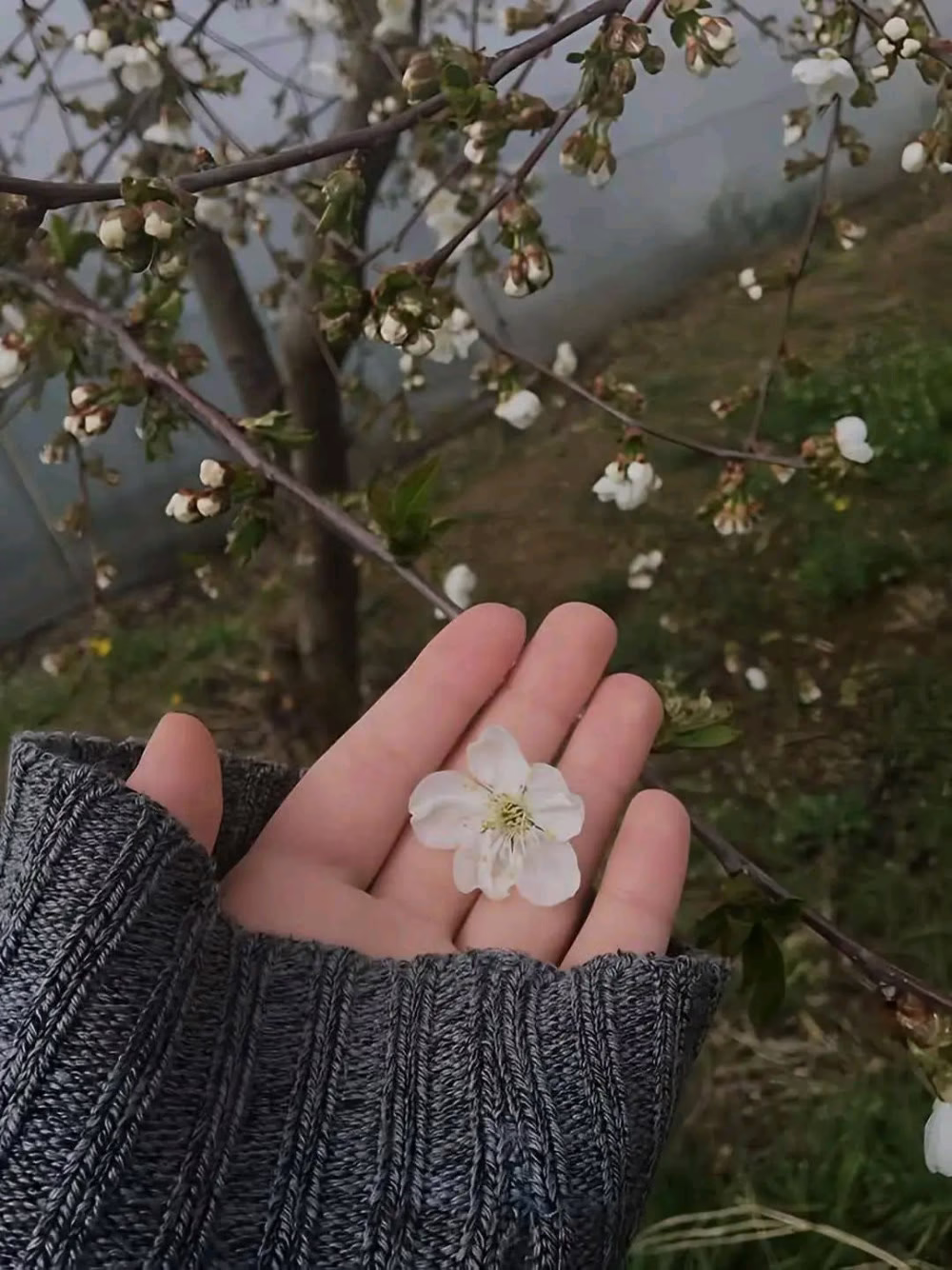 مختصر هذه الحياه:🤍🌸

ﻻ تؤذي أحد .!

۞ إِنَّكَ مَيِّتٌ وَإِنَّهُم مَّيِّتُونَ * 
ثُمَّ إِنَّكُمْ يَوْمَ الْقِيَامَةِ عِندَ رَبِّكُمْ تَخْتَصِمُونَ ۞ 

تسامحو وتصافح فأنا وانت وهم راحلون 
اللهم أنا نسألك حسن الختامه ياارب العالمين