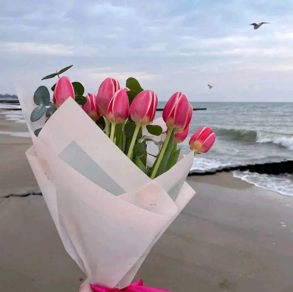 ️️️️❞‏ ” 💙 . . ☁️ ↲🫀
‏قرأت اليوم: "سمِع الله لمن حمِدَه، فكيف لمن يشكي ويبكي؟"
‏فاطمئن قلبي♥️ •|🌧️💛🌼 “ ❝